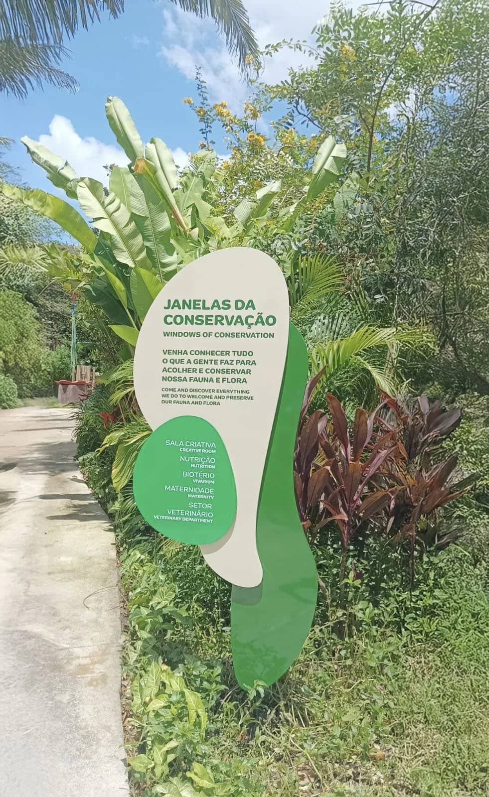 Totem de sinalização verde e branco instalado em percurso externo com vegetação